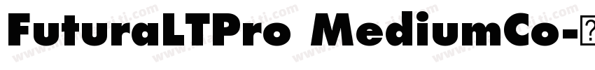 FuturaLTPro MediumCo字体转换